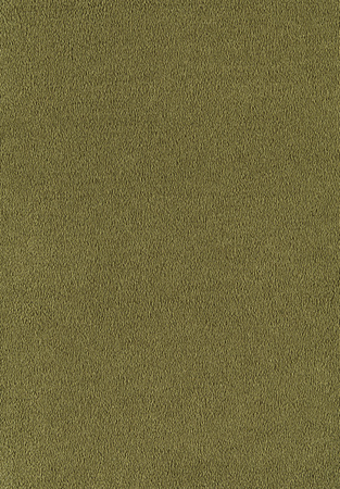 SmartStrand Sofia SOK carpeting.0500