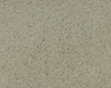 SmartStrand Boheme UYO carpeting.0641