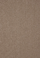 SmartStrand Lounge Carpet ZEO430