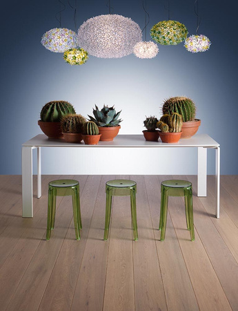 Bloom Applique Biały Lampa Ścienna