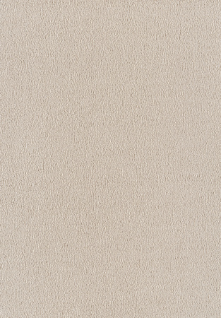 SmartStrand Sofia SOK carpeting.0450