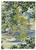 Sanderson ANCIENT CANOPY FOREST GREEN carpet 146708
