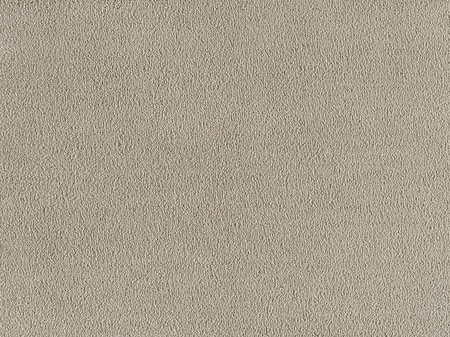 SmartStrand Sofia SOK carpeting.0460