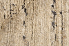 Dywan Landscape Straw Camel