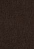 SmartStrand Lounge Carpet ZEO283