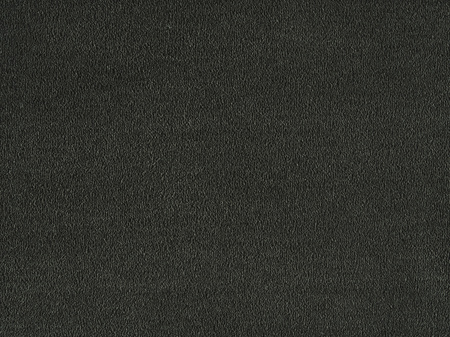 SmartStrand Sofia SOK carpeting.0810