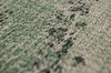 Dywan Louis de Poortere Palazzo Da Mosto Este Green 9142