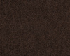 SmartStrand Lounge Carpet ZEO283