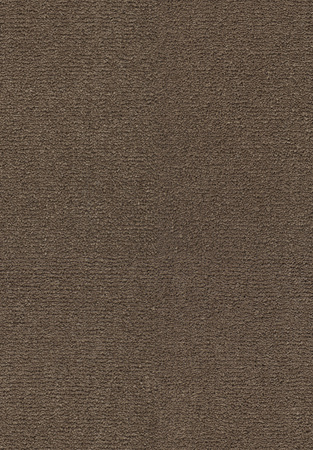 SmartStrand Celeste URO carpeting.0211