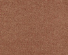 SmartStrand Lounge Carpet ZEO332