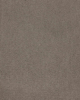 SmartStrand Celeste URO carpeting.0410