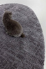 Brink&Campman Twinset Urban Graphite rug 022135