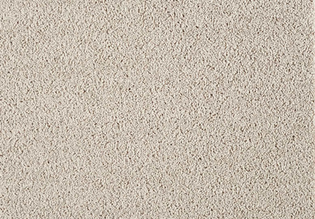 SmartStrand Lounge Carpet ZEO451