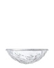Moon Bowl Transparent