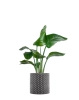 Kleo Cachepot Pot Cover Gray 30 cm