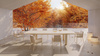 Gandiablasco Bosc Dining Chair