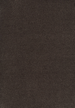 SmartStrand Sofia SOK carpeting.0290