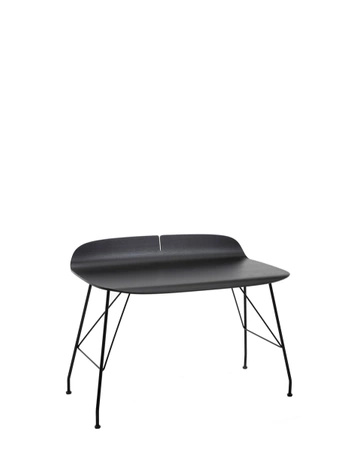Earl Of Wood 119x65 cm Ash Black Desk