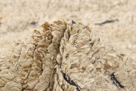 Dywan Landscape Straw Camel