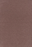 SmartStrand Sofia SOK carpeting.0180