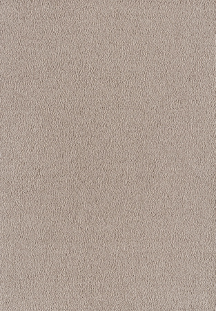 SmartStrand Sofia SOK carpeting.0260