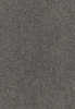 SmartStrand Lounge Carpet ZEO834