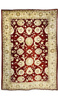 Ziegler Iran Wool Carpet 116x174