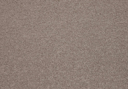 SmartStrand Lounge Carpet ZEO460