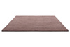 Wedgwood Carpet Folia 2.0 Mink 038902