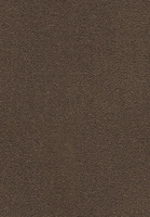 SmartStrand Dream UIO carpet.0413