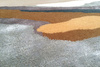 Dywan Serge Lesage Fiction Mineral Grey
