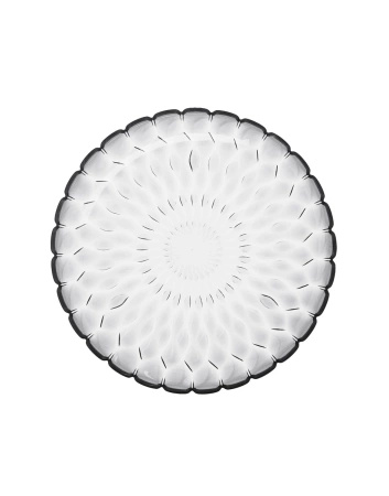 Jelly Plate Transparent