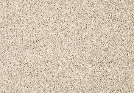 SmartStrand Lounge Carpet ZEO221