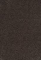 SmartStrand Sofia SOK carpeting.0290