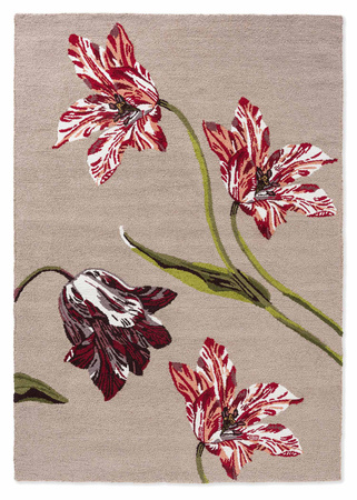 Ted Baker Botanical Tulip Burgundy rug 455610