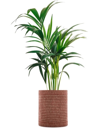 Kleo Cachepot Osłonka Na Donicę Czerwony 40 cm