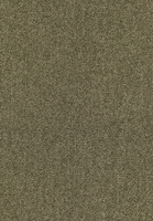 SmartStrand Lounge Carpet ZEO484