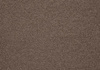 SmartStrand Lounge Carpet ZEO190