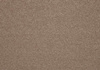 SmartStrand Lounge Carpet ZEO430