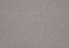 SmartStrand Lounge Carpet ZEO880
