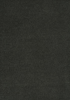 SmartStrand Sofia SOK carpeting.0810