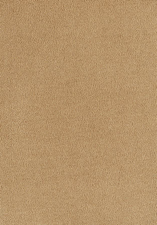 SmartStrand Sofia SOK carpeting.0370