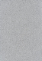 SmartStrand Sofia SOK carpeting.0871
