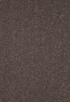 SmartStrand Lounge Carpet ZEO470