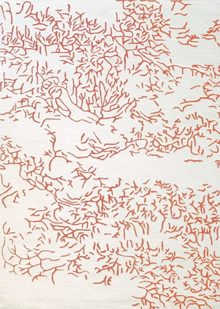 Toulemonde Bochart Nature Corail Carpet