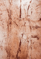 Louis de Poortere Mad Men SOL Tandoori rug 9774