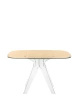  Sir Gio Square 120x120 cm Transparent Brown Table