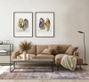 Carpet Decor Rustic Beige carpet