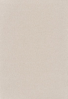 SmartStrand Sofia SOK carpeting.0440
