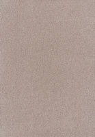 SmartStrand Sofia SOK carpeting.0250